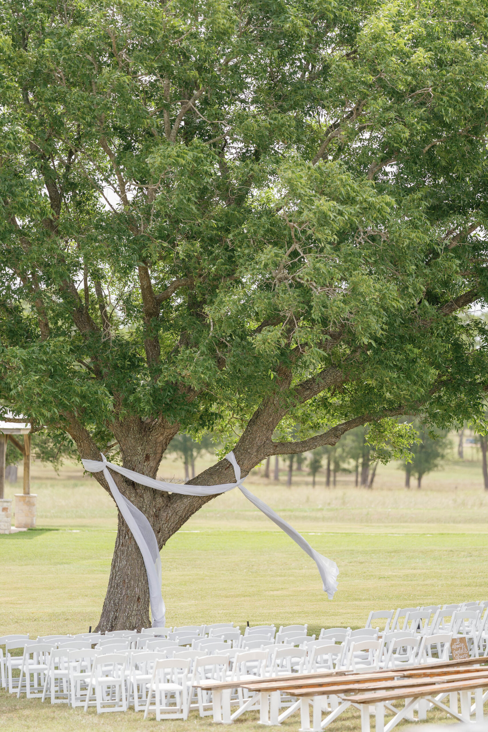 Photo of ceremony space under a large pecan tree at emery's Buffalo Creek Texas Summer Wedding